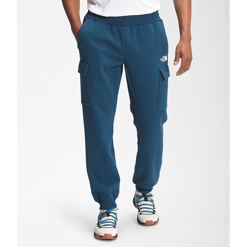 The North Face Pants Mens Australia - The North Face Coordinates Blue (DVG-482165)